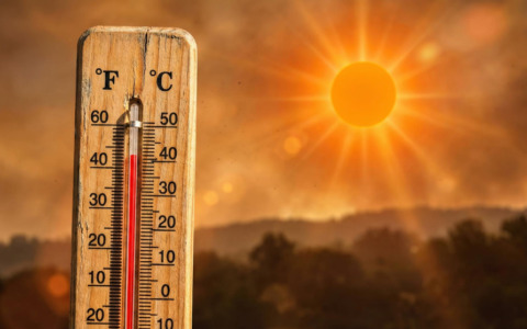 La Misericordia di Cascina offre accoglienza agli anziani durante il caldo estivo