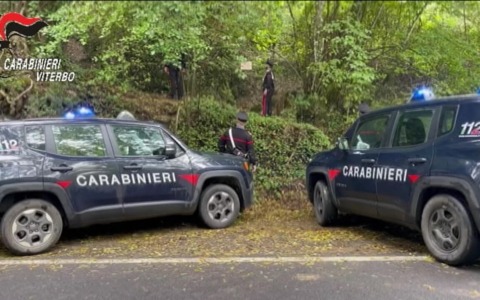 Fuga spericolata da carabinieri termina in un fossato