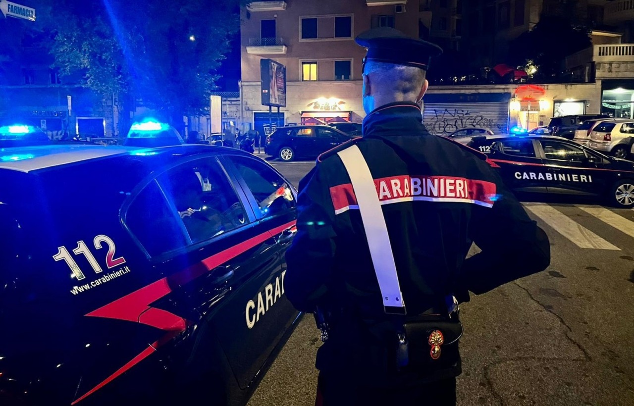 Vecchiano, trovato morto un animale: si sospetta un lupo