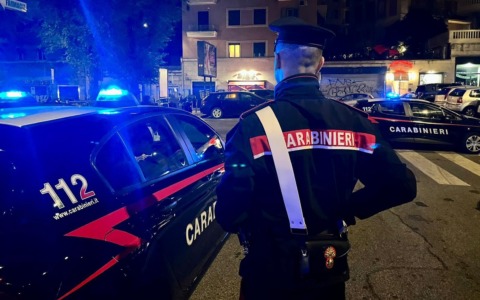 Vecchiano, trovato morto un animale: si sospetta un lupo