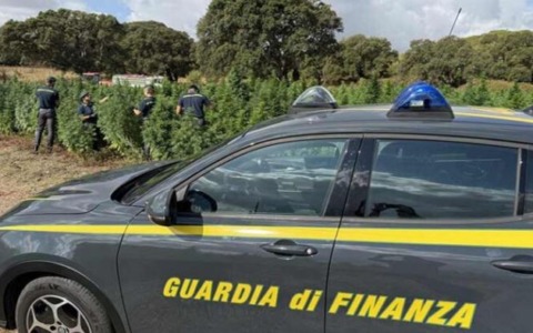 Scoperti oltre 2 milioni di euro non dichiarati all’aeroporto di Pisa