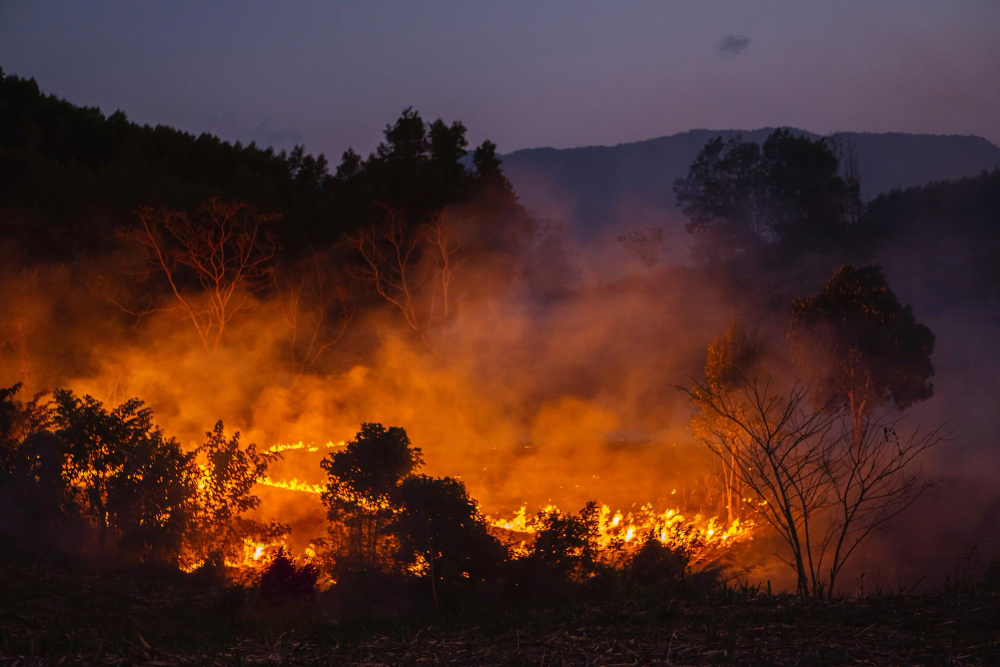 Lavori antincendio e isolamento alla scuola Collodi