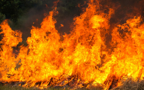 Nasce un comitato di comunità dopo l’incendio alla Delca