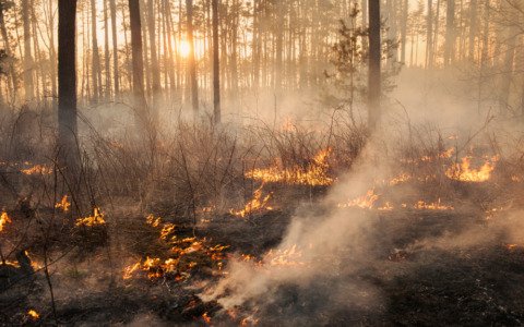 Monte Faeta, al via i lavori dopo l’incendio