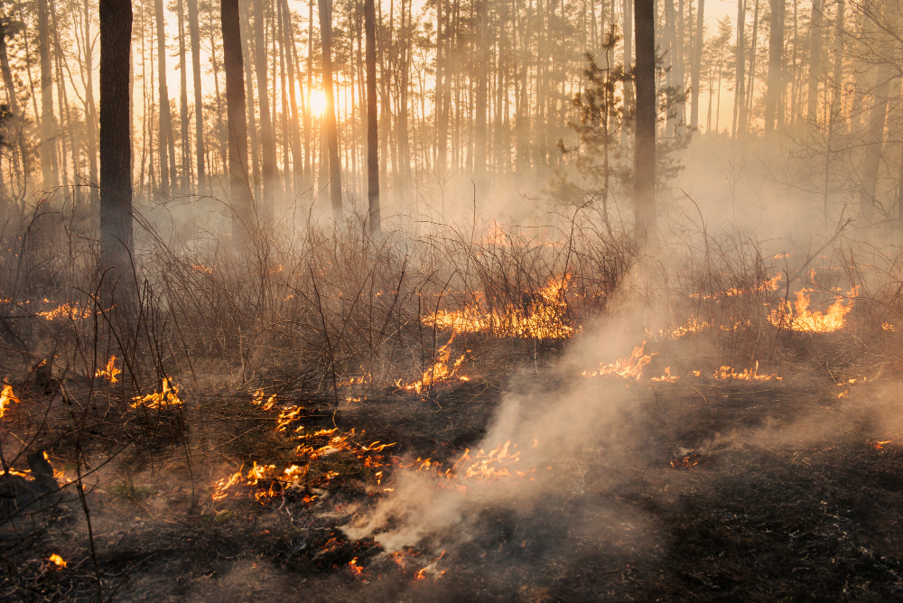 Monte Faeta, al via i lavori dopo l’incendio