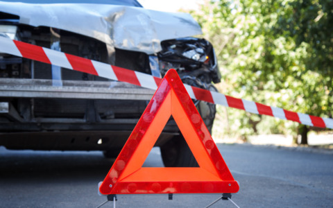 Pisa, pino cade in piazza San Silvestro e danneggia due auto