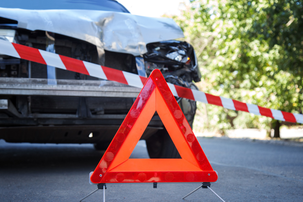 Pisa, pino cade in piazza San Silvestro e danneggia due auto