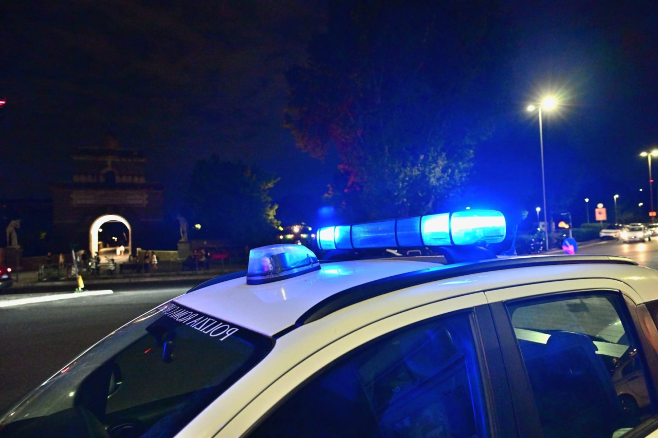 Quattro gatti rischiano di lasciare la colonia di piazza Dante