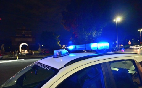 Quattro gatti rischiano di lasciare la colonia di piazza Dante