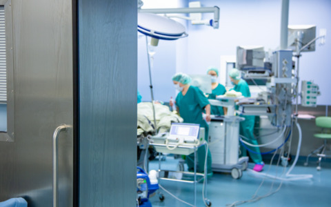 Un intestino artificiale riproduce la peristalsi in laboratorio