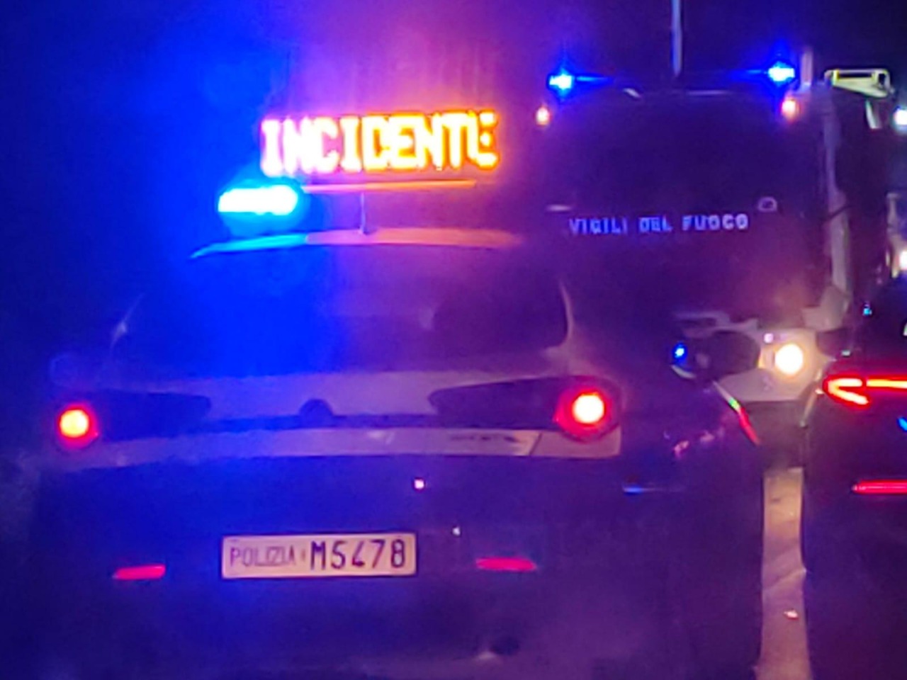 Cane investito e ucciso, caccia al conducente