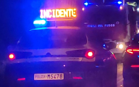 Cane investito e ucciso, caccia al conducente