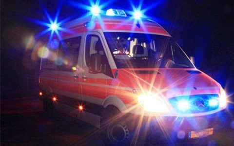 Piccolo assiolo salvato dalla polizia locale dopo la tempesta