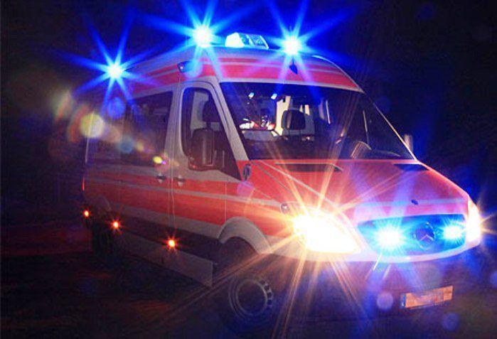 Piccolo assiolo salvato dalla polizia locale dopo la tempesta